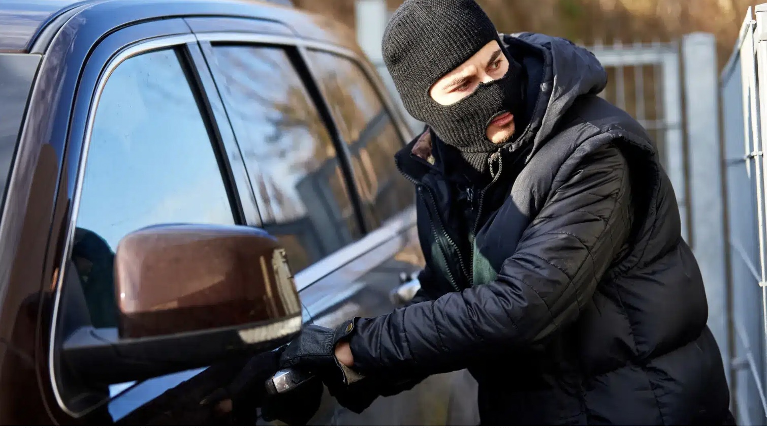 Robbing Toronto